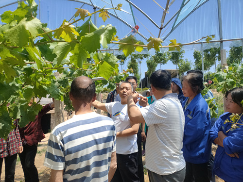 葡萄酒百家乐路子
张宗勤副教授讲授葡萄栽培管理技术_副本.jpg